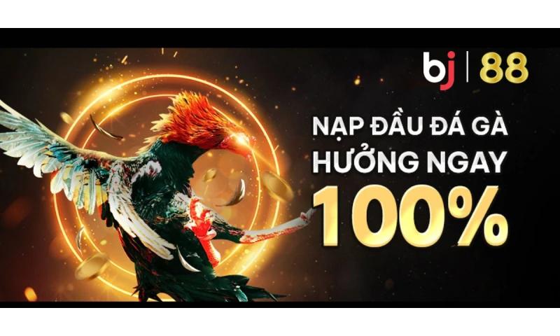 Tham gia Bj88 nhận ưu đãi lớn.