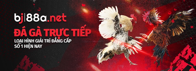 Các trò chơi đá gà BJ88 được yêu thích